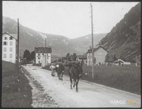 Mules (Chamonix)